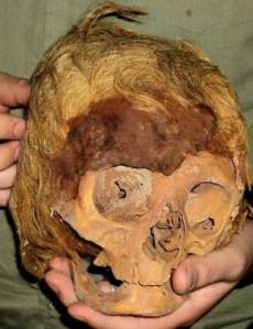 paracas-skull